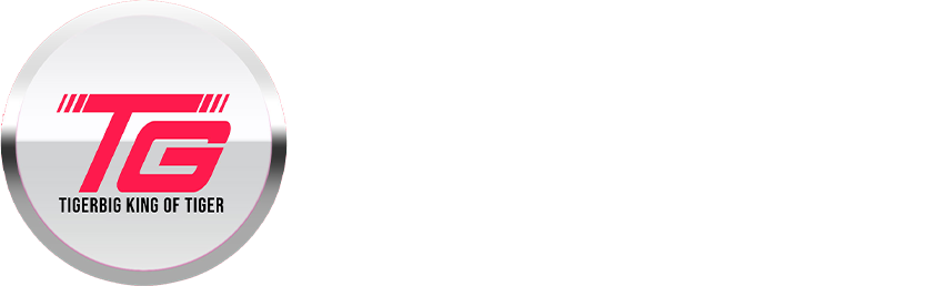 TIGERBIG LOGO HEAD